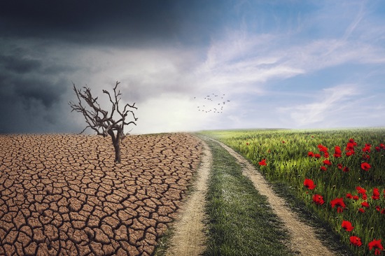 Pxclimateaction 4684217 1280
