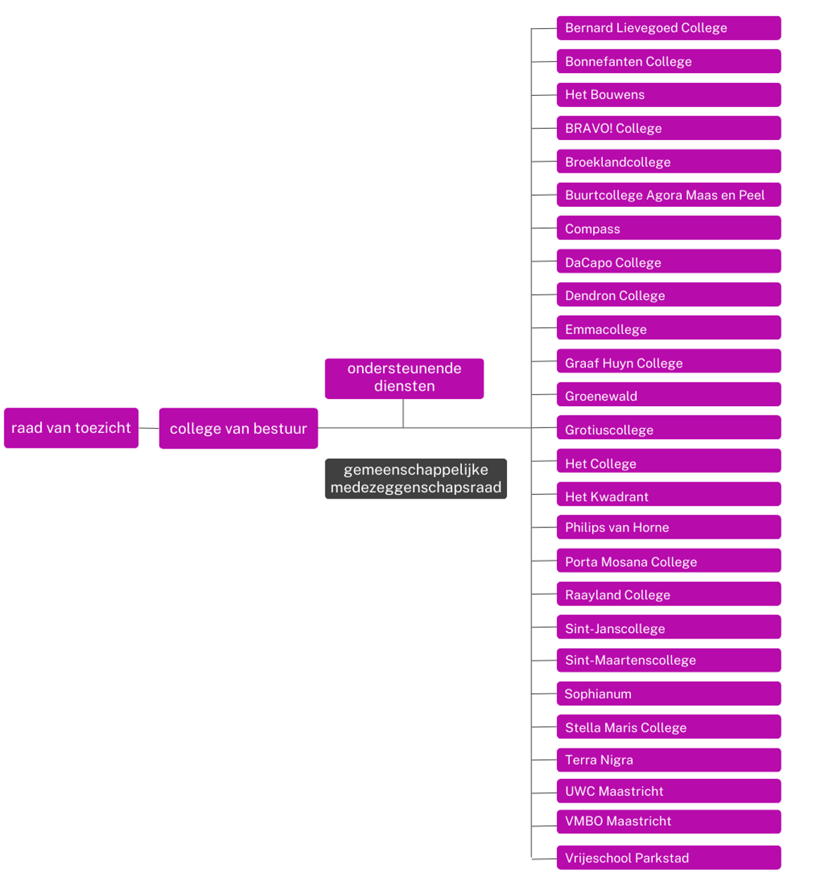 Organogram Stichting LVO (2)